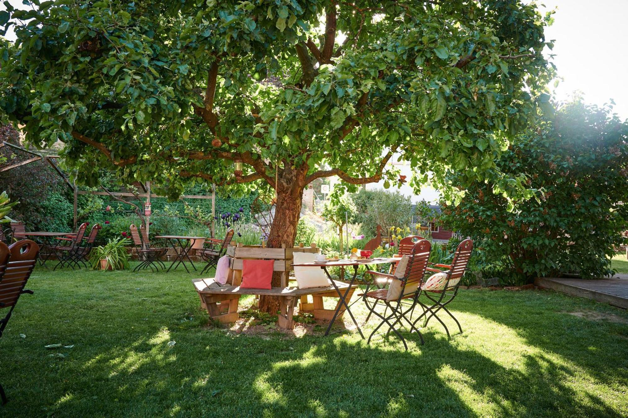 Appartamento Winzercafe Neipperg Brackenheim Esterno foto